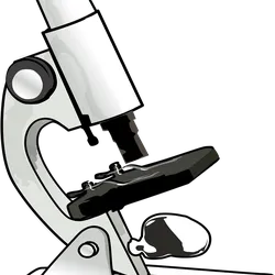 ST05
